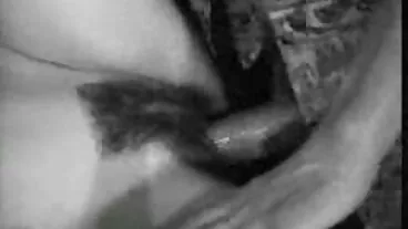 Piccolo europeo mamme porche pelose cavalca un cazzo